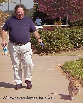 Willow takes James for a walk